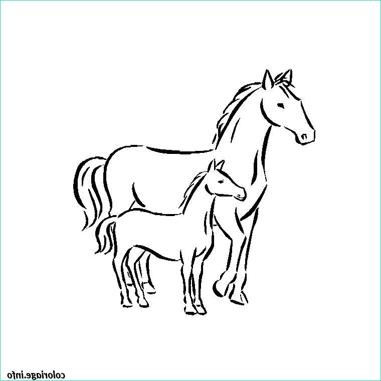 chevaux coloriage dessin 295