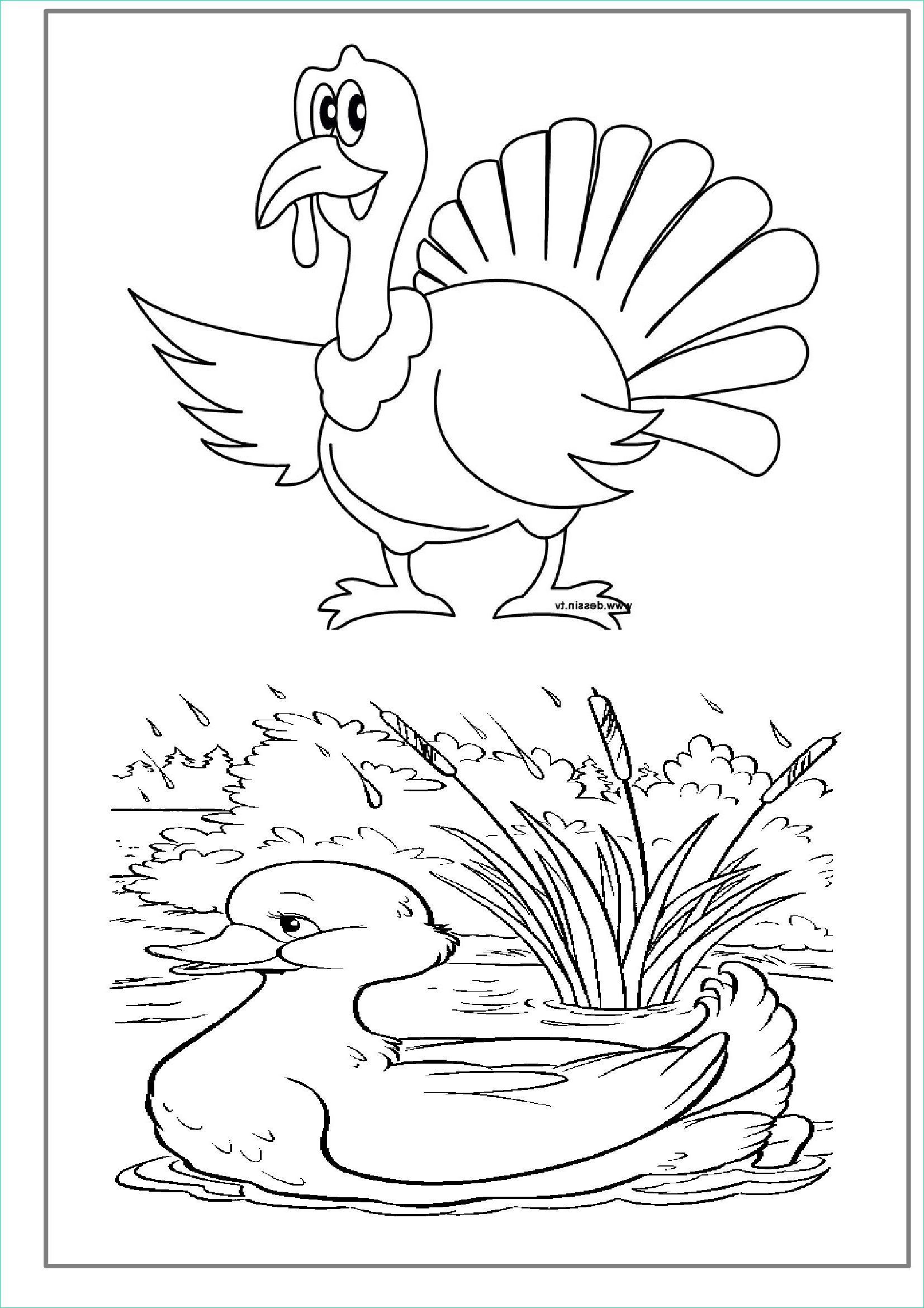 coloriages educatifs dessin animaux de la ferme a colorier