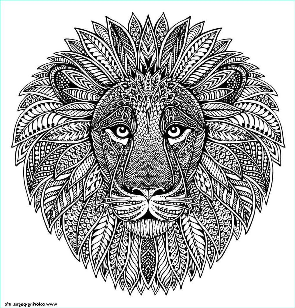 mandala animal adult lion printable coloring pages book