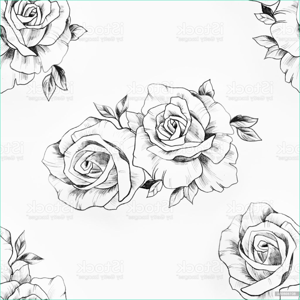 modèle sans couture dune branche de belles roses sur fond blanc gm