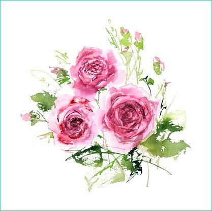 fepawu dessin bouquet de roses