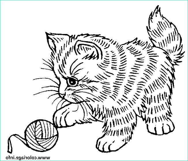 adorable chat qui joue coloriage dessin
