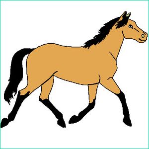 equitation dessin couleur bestof images theories robes cheval poney club galop