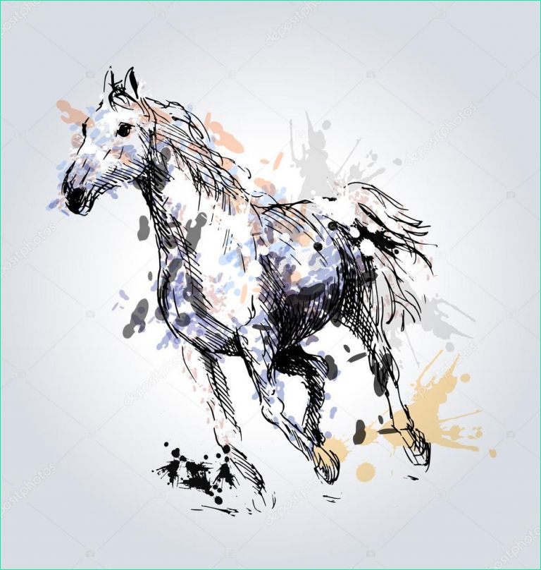 cheval dessin couleur beau photographie tete de cheval dessin couleur main image vectorielle