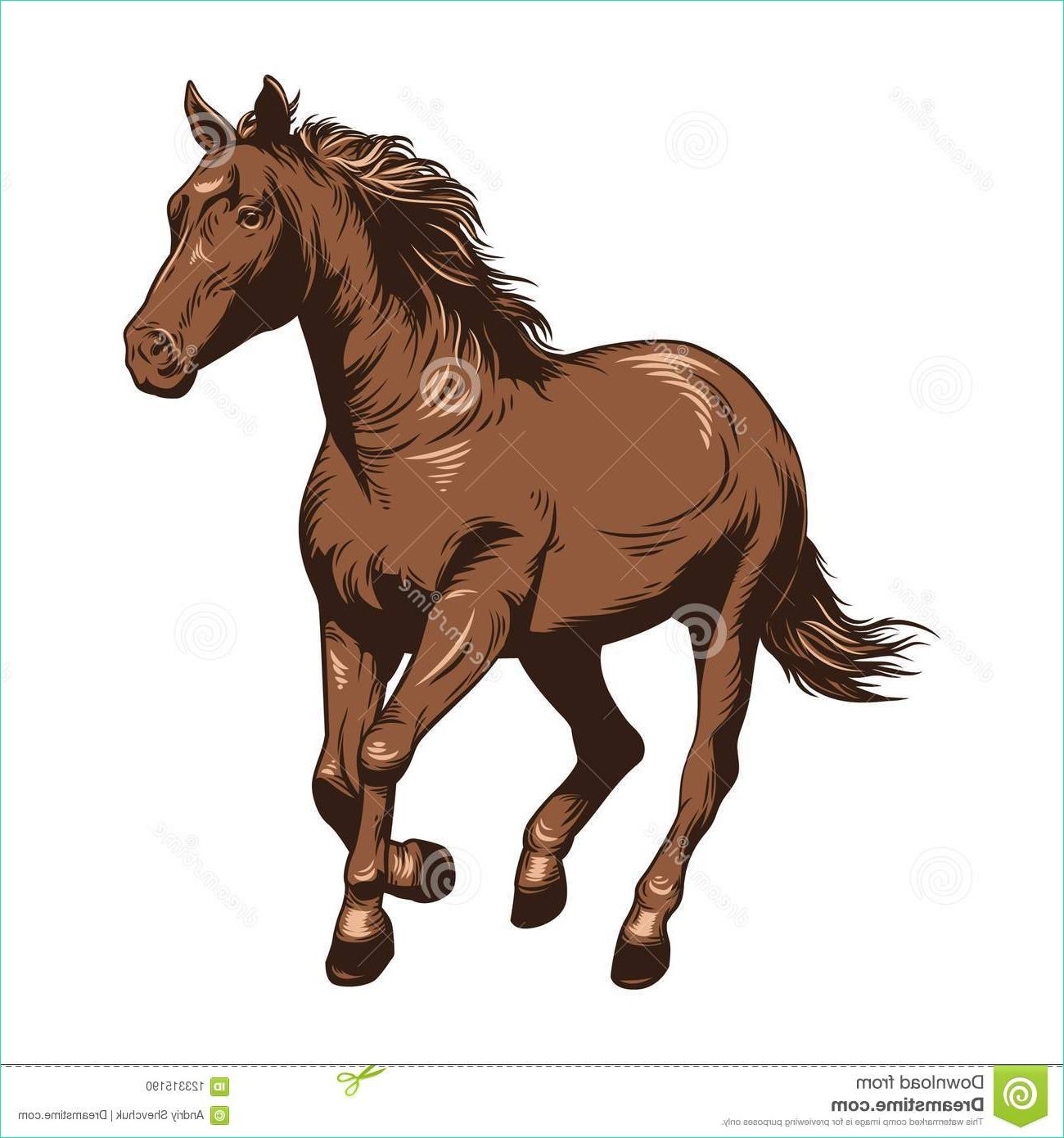 cheval dessin couleur