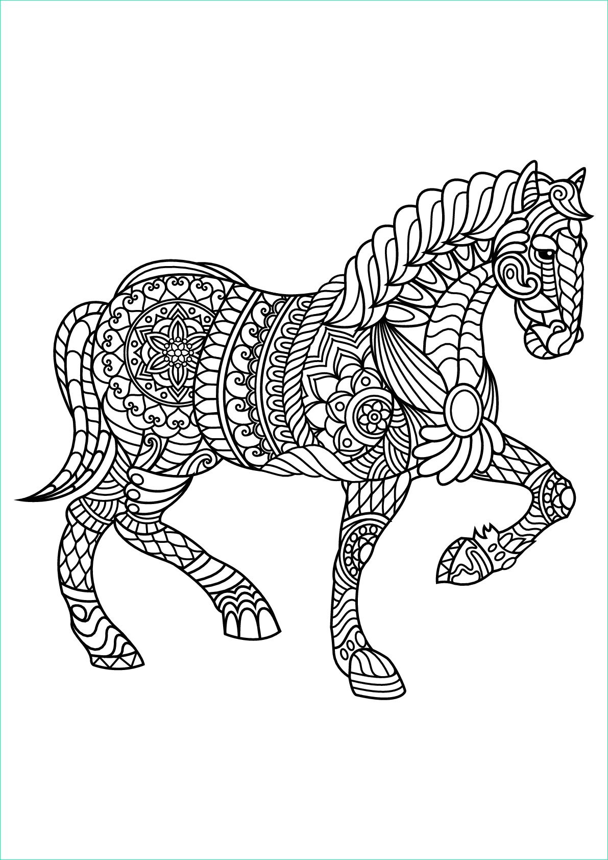 image=chevaux cheval 1