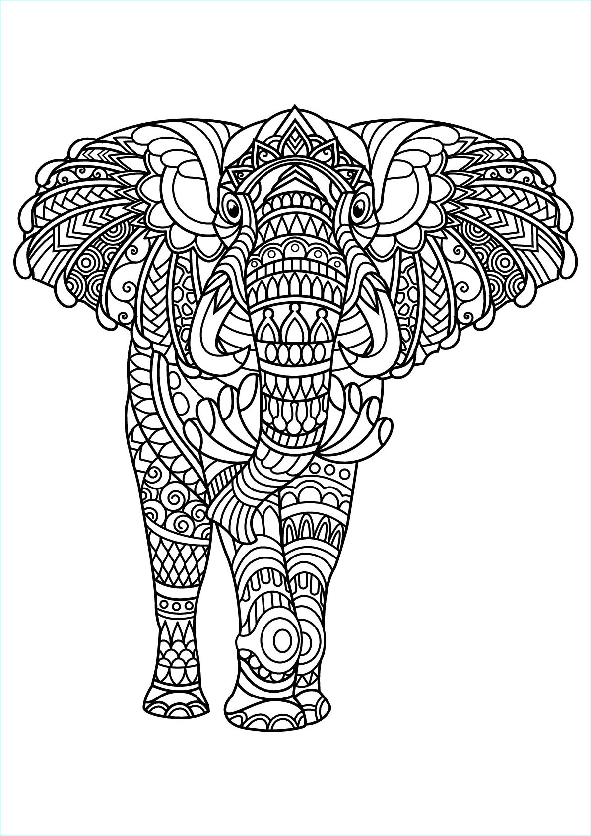 image=elephant elephant 1