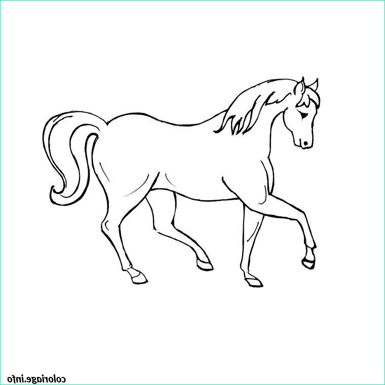 vrac cheval coloriage 289