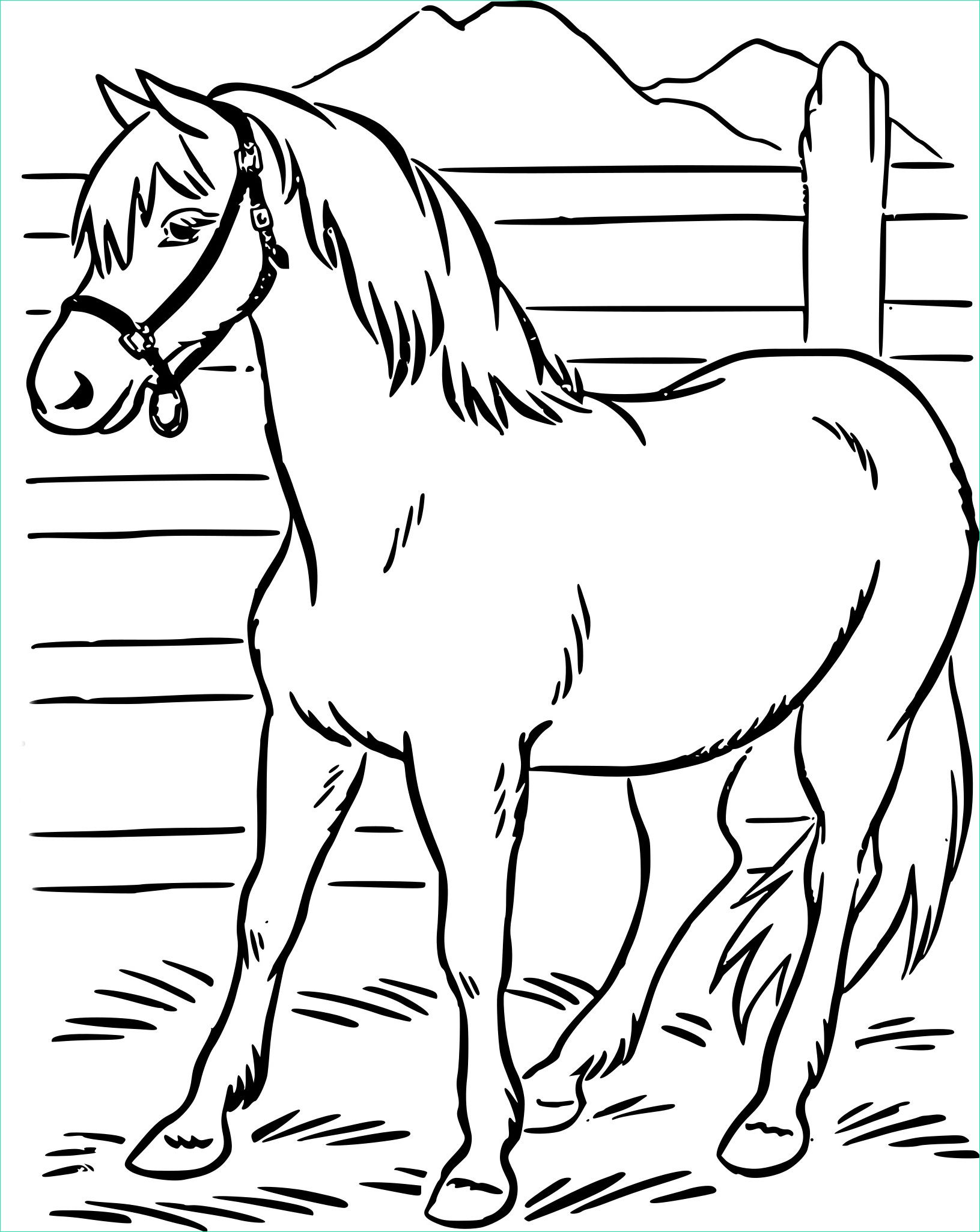 coloriage cheval a imprimer interieur dessin de cheval a colorier