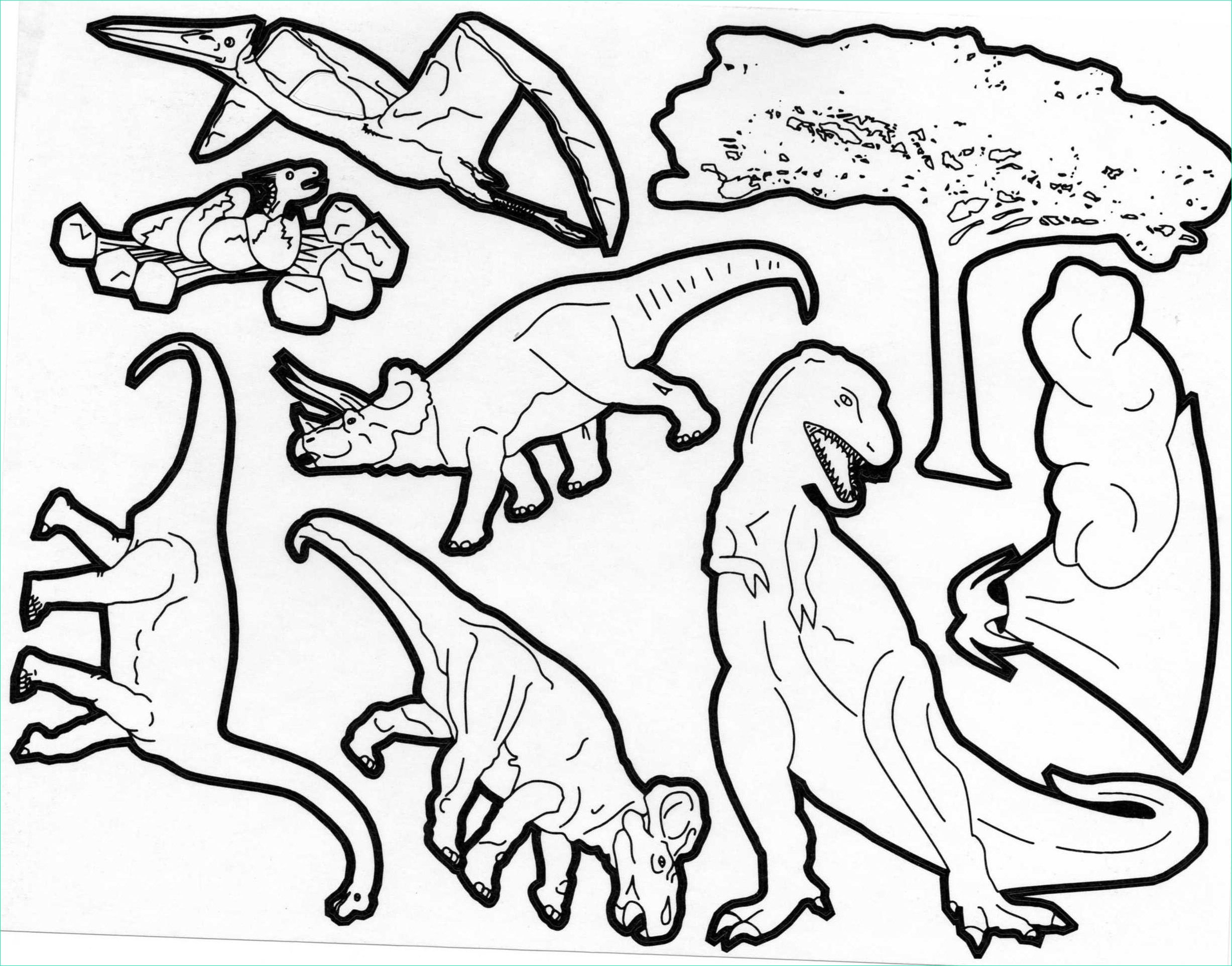 rub coloriage dinosaures 3