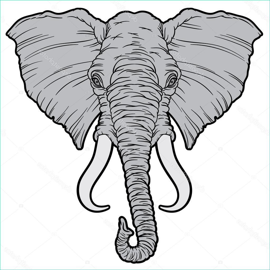 stock illustration cartoon african elephant head