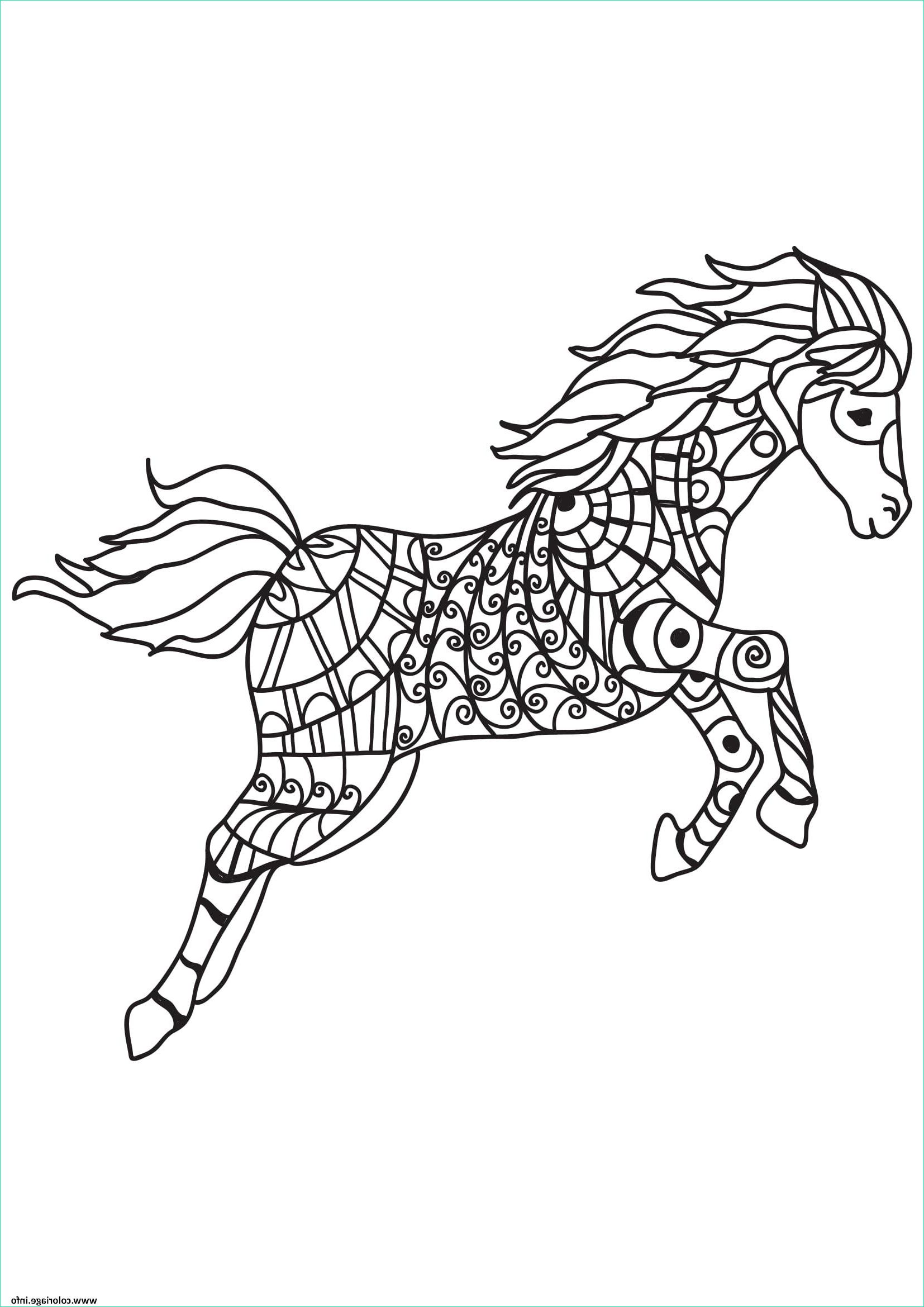 cheval pour adulte 30 coloriage dessin