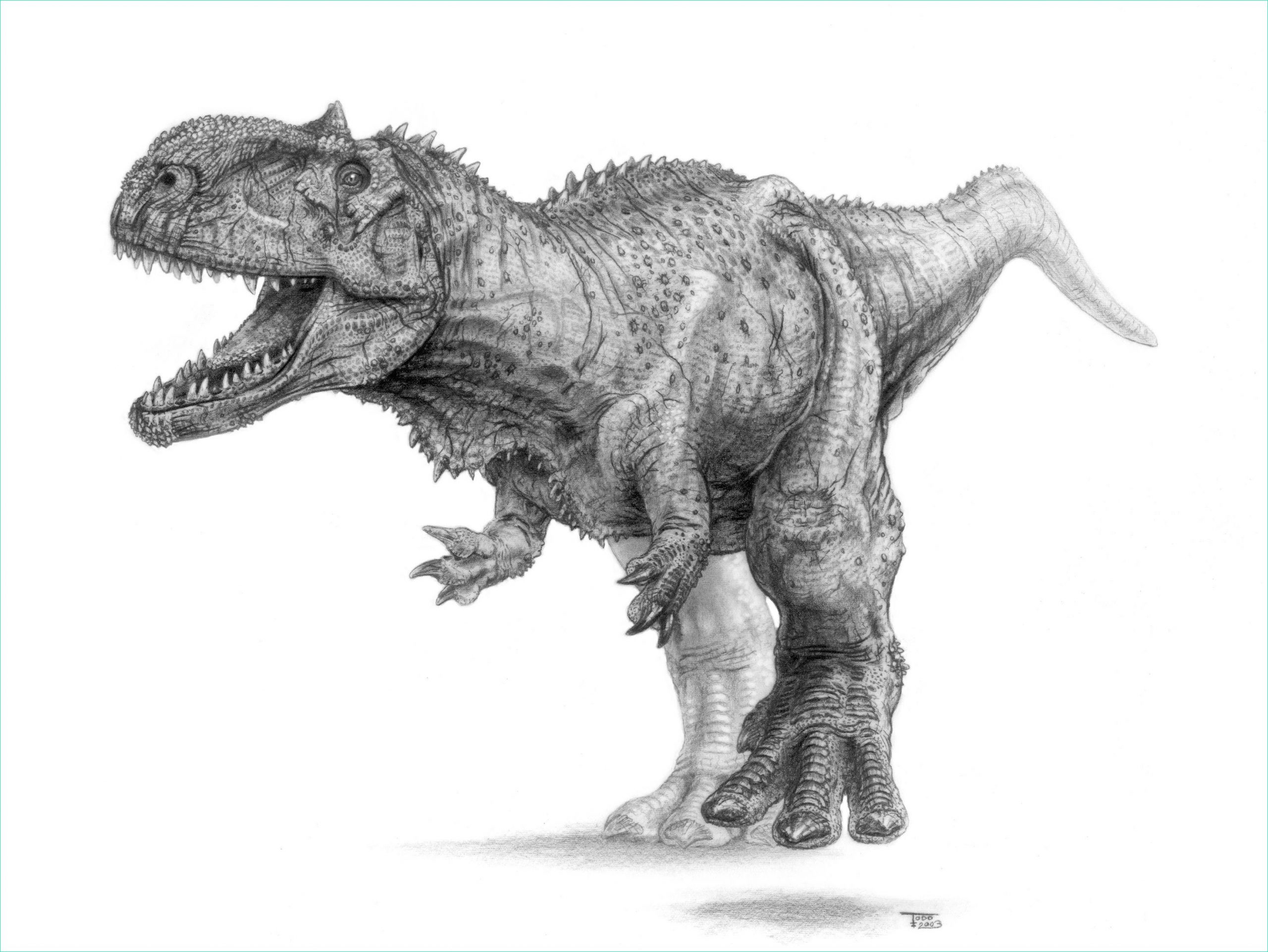 image de dinosaure carnivore