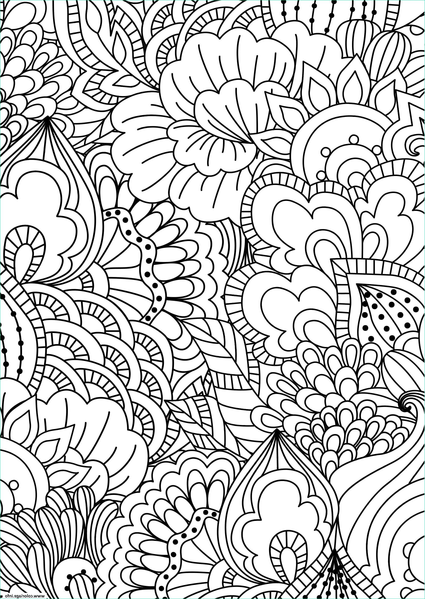 fleurs adulte pattern zentangle coloriage dessin