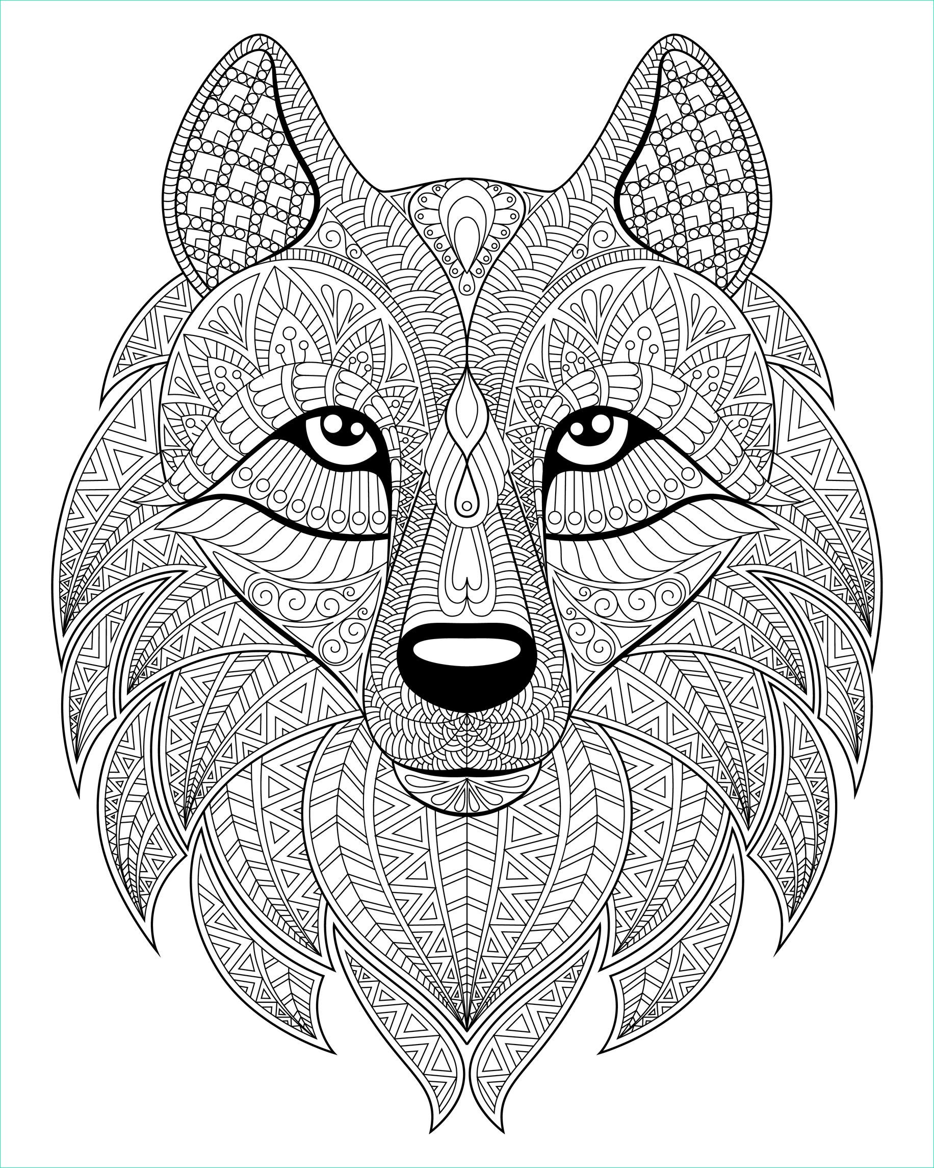 image=loups coloriage tete de loup et motifs plexes 1