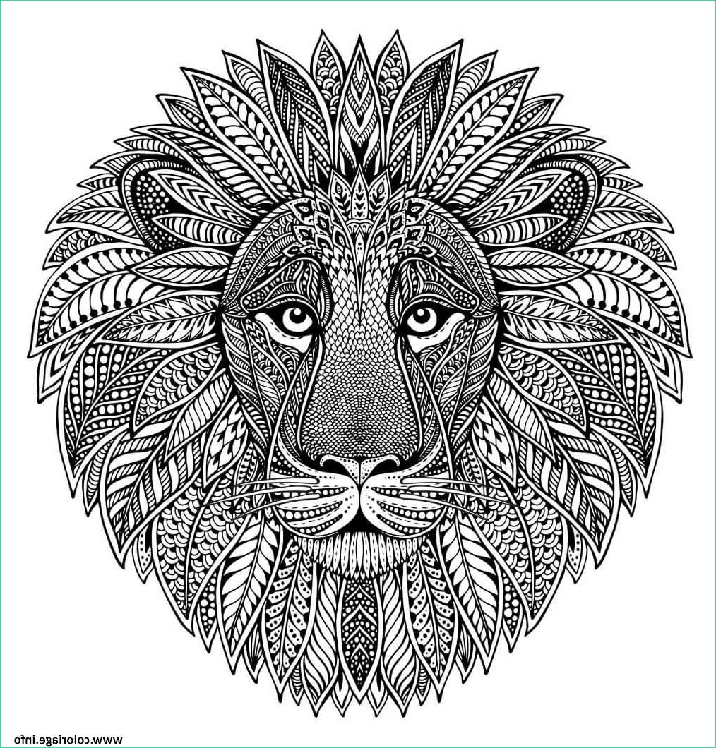 mandala animal adult lion coloriage