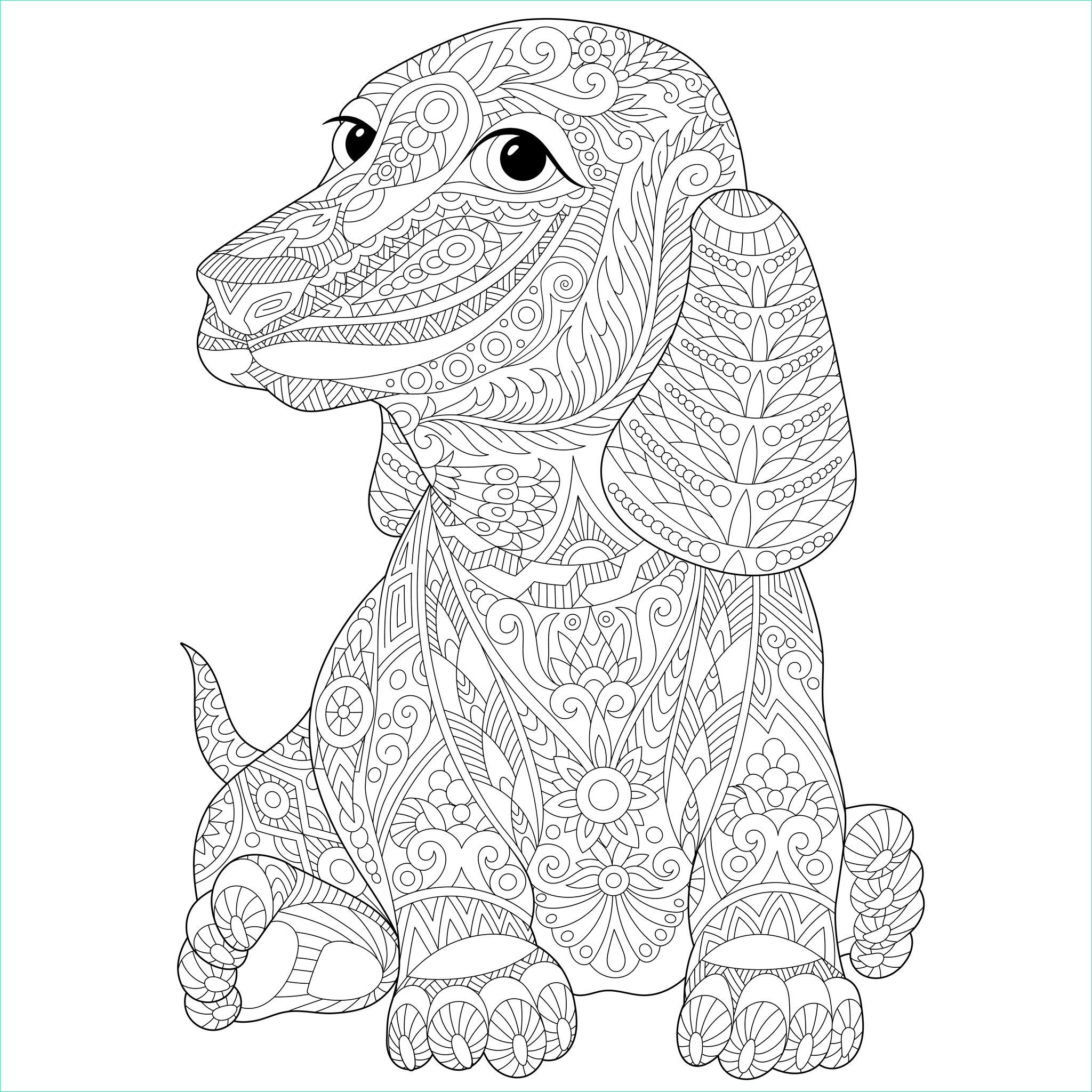 15 unique de coloriage mandala chien image