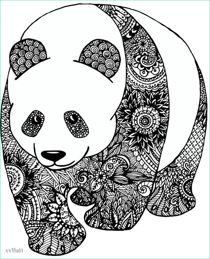 panda mandala