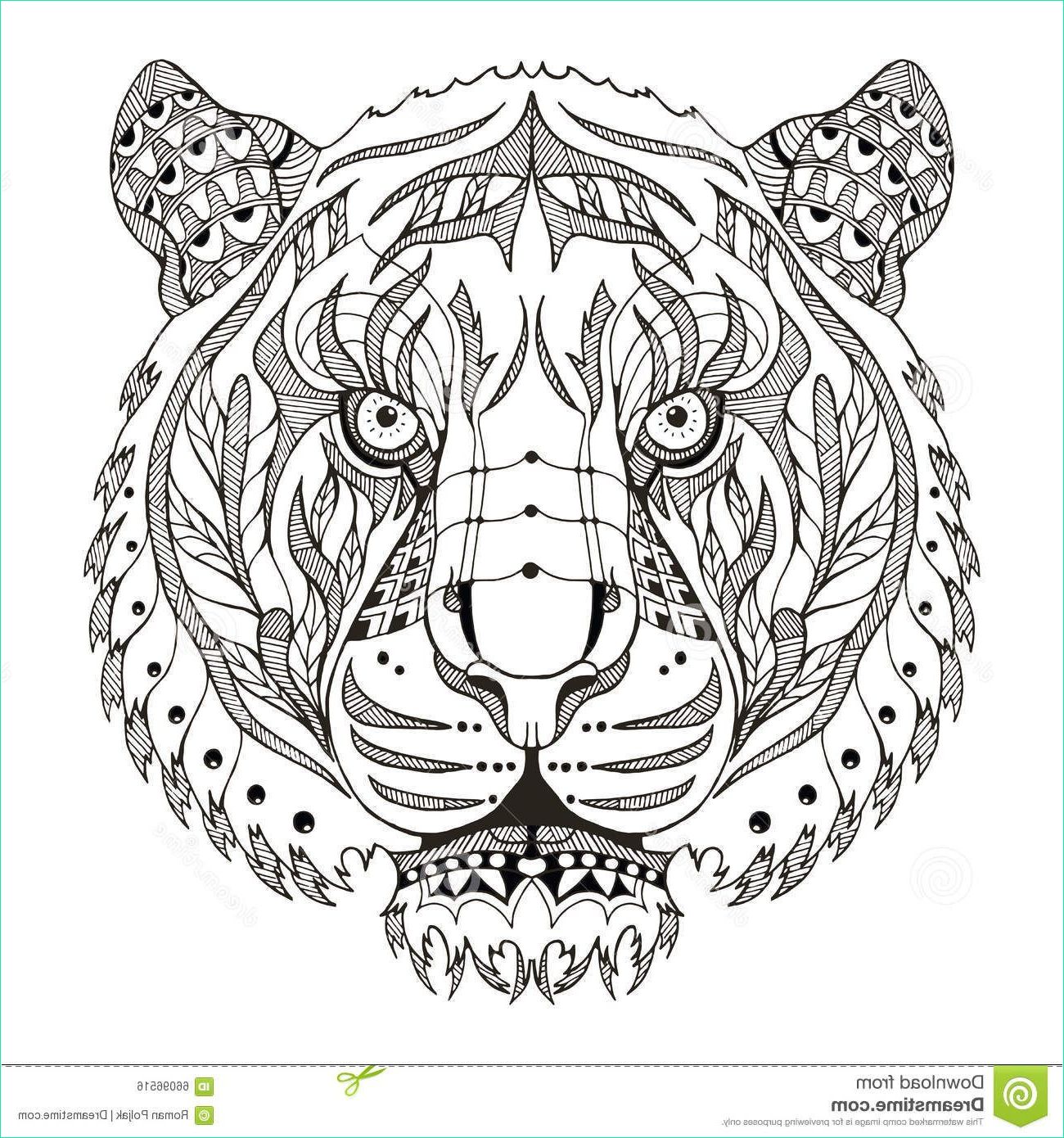 12 sympathique coloriage tigre mandala photos