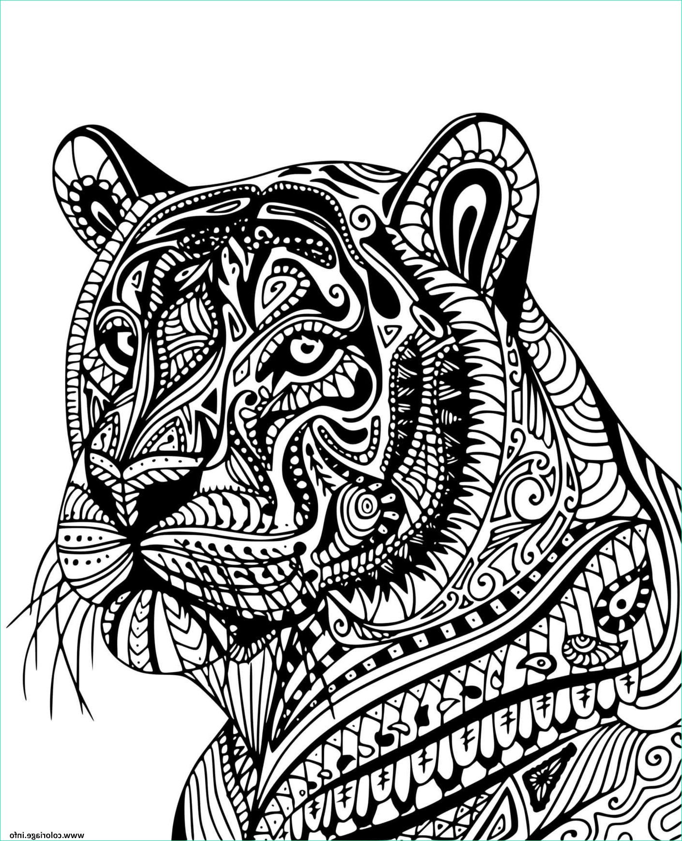 tigre adulte mandala de profil coloriage dessin