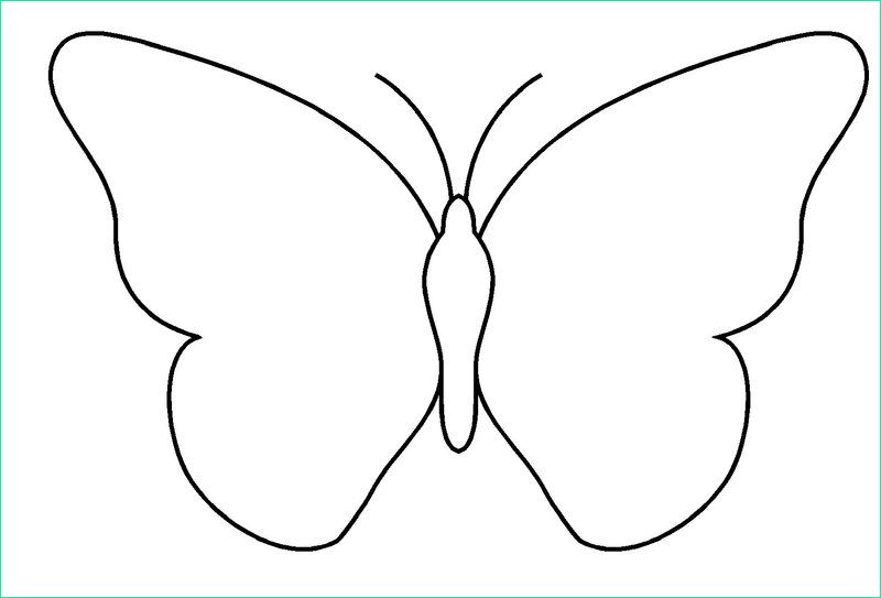 dessin papillon a imprimer