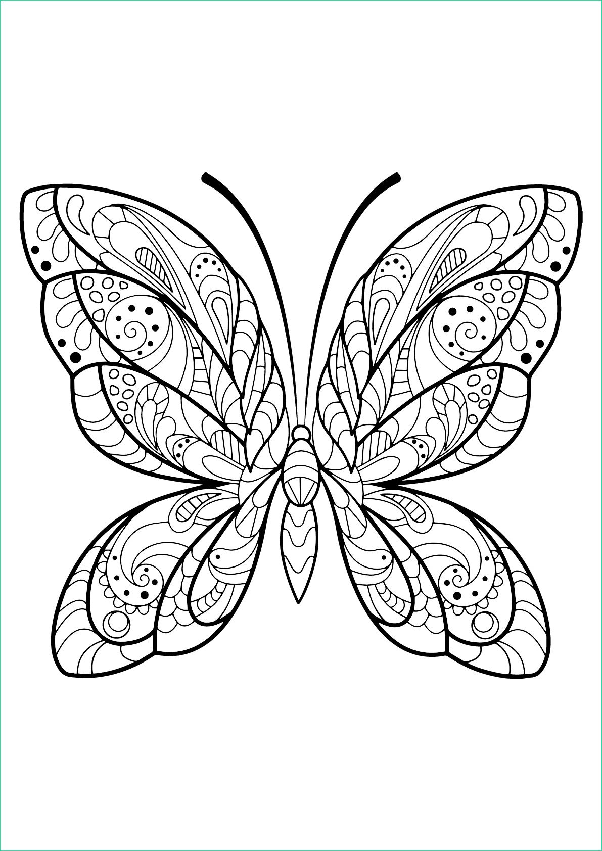image=insectes coloring butterfly beautiful patterns 2 1
