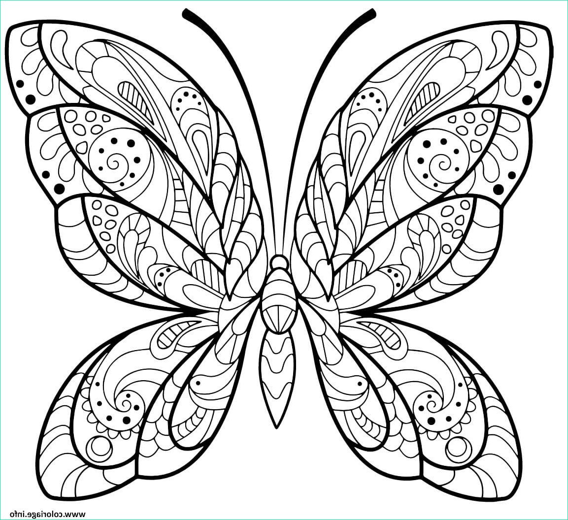 papillon jolis motifs 2 coloriage dessin