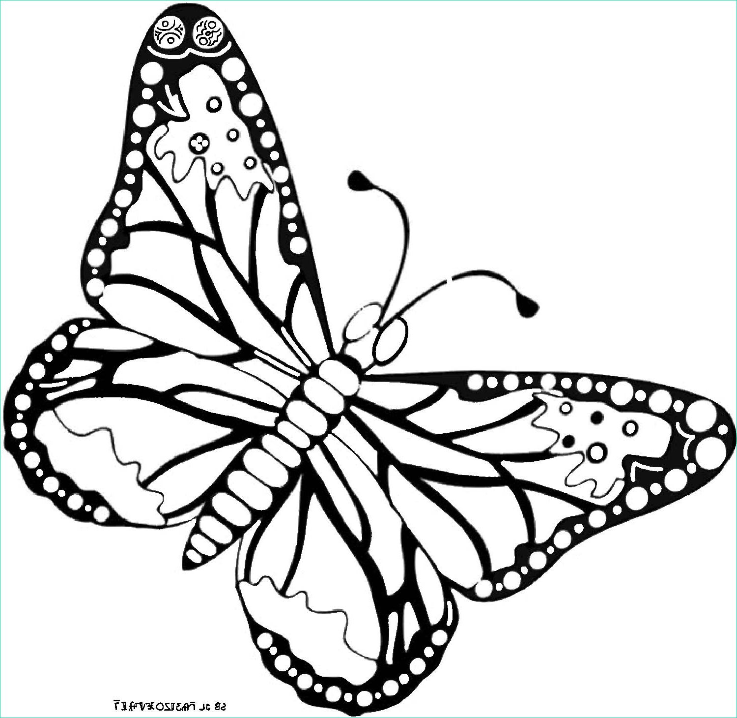 dessin de papillon sur ordinateur