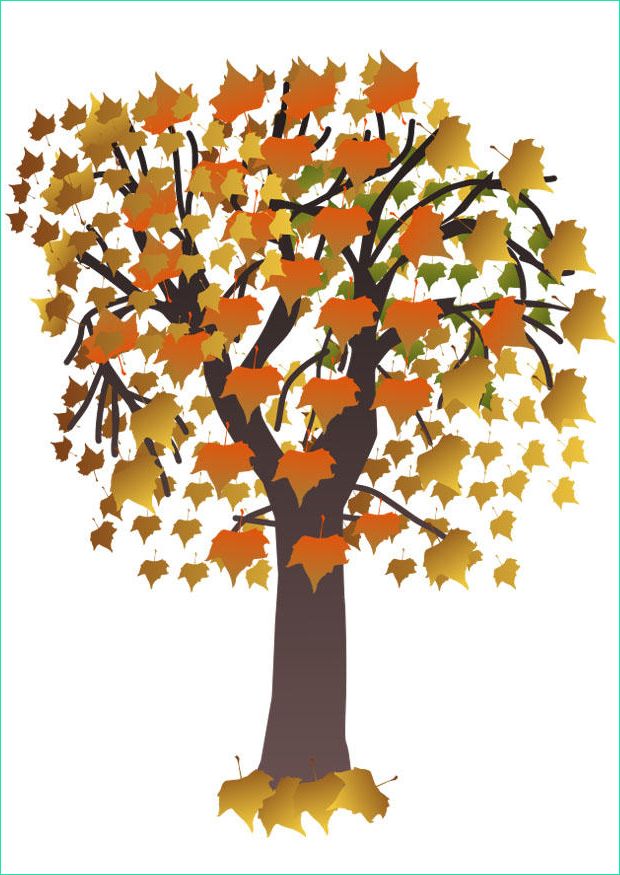 image arbre en automne i