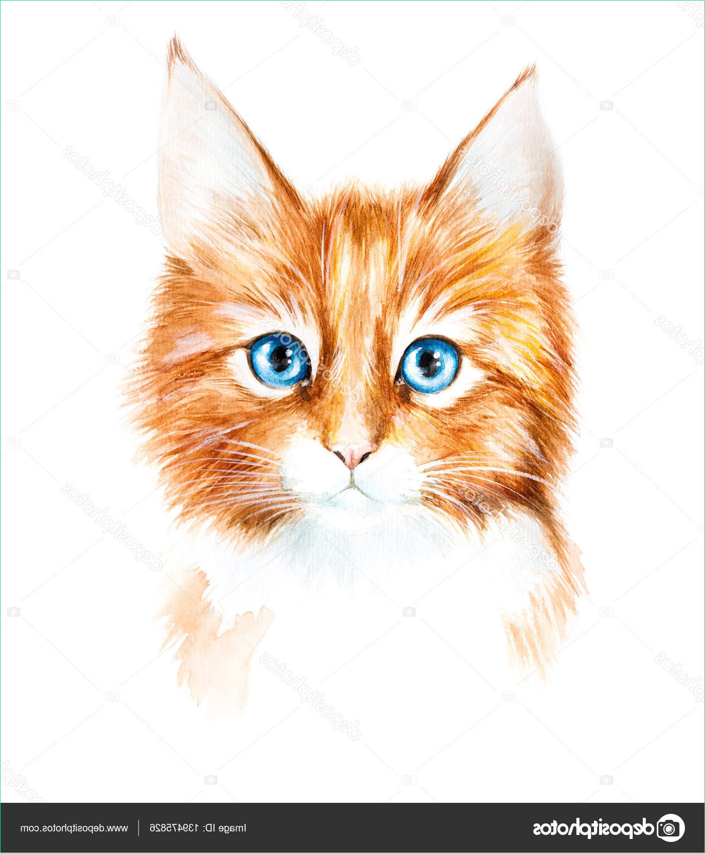 dessin de chaton en couleur