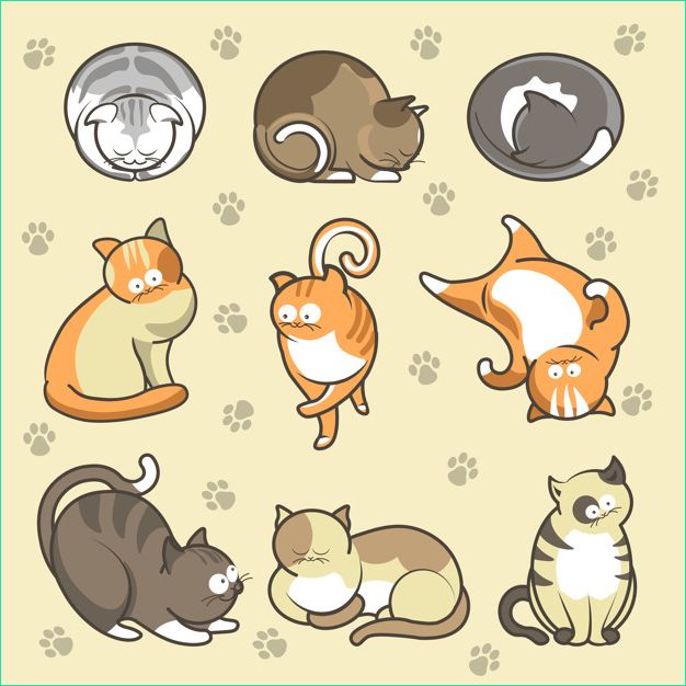 chatons dessin anime dans differentes poses vector icons set