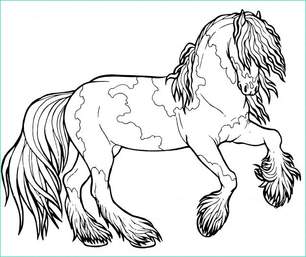 cheval court au trot livre coloriage cheval court au trot livre coloriage tinker est cheval race