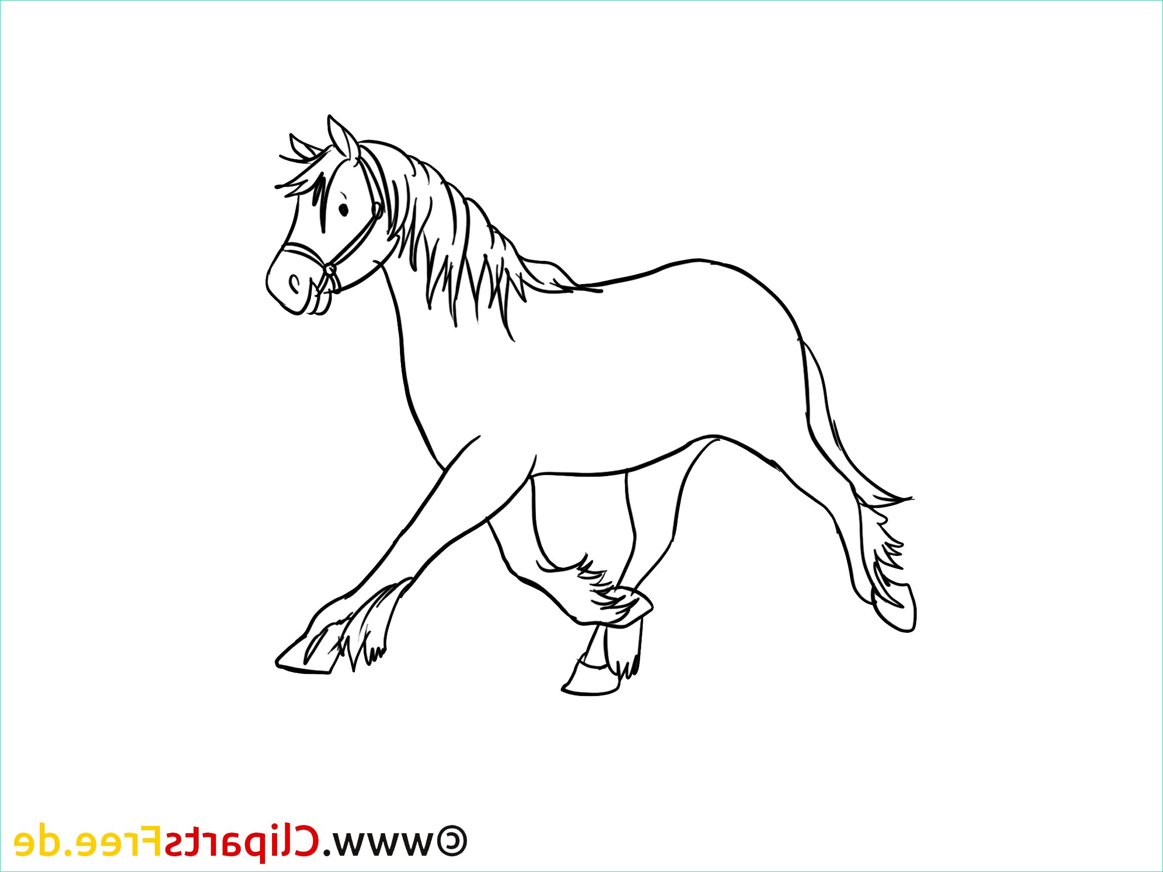 coloriage illustration cheval images 7149