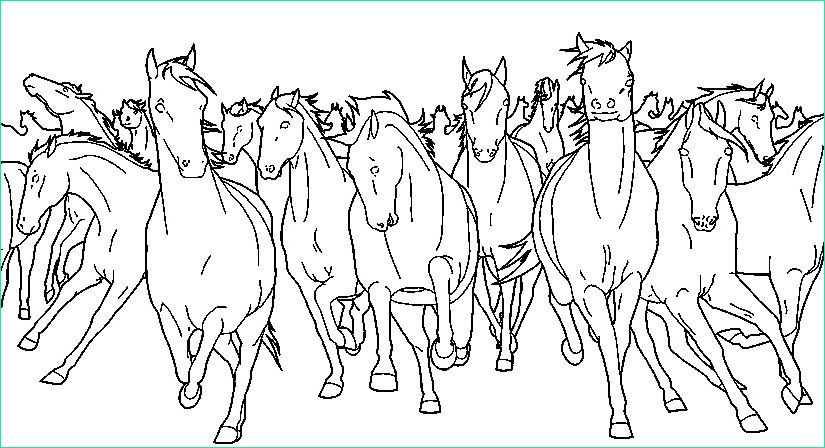 color v3 lang=en&theme id=326&theme=Horses&image=coloriage chevaux g 10