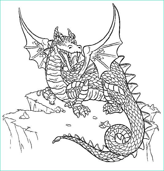 coloriage le dragon d hagrid