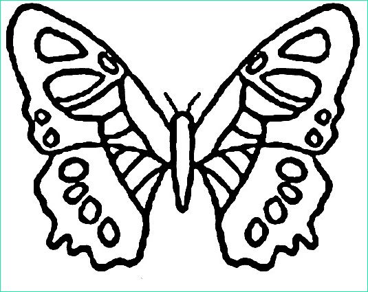 papillon maternelle 10