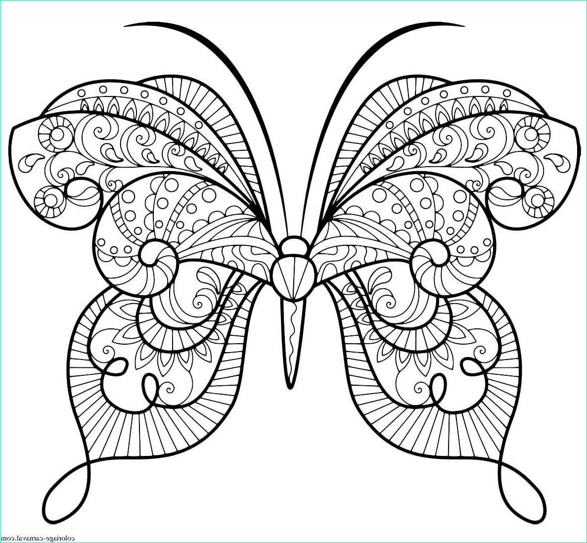 papillon zentangle jolis motifs 15