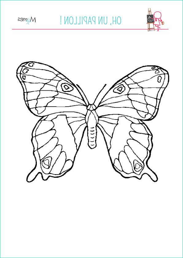 Coloriage papillon2