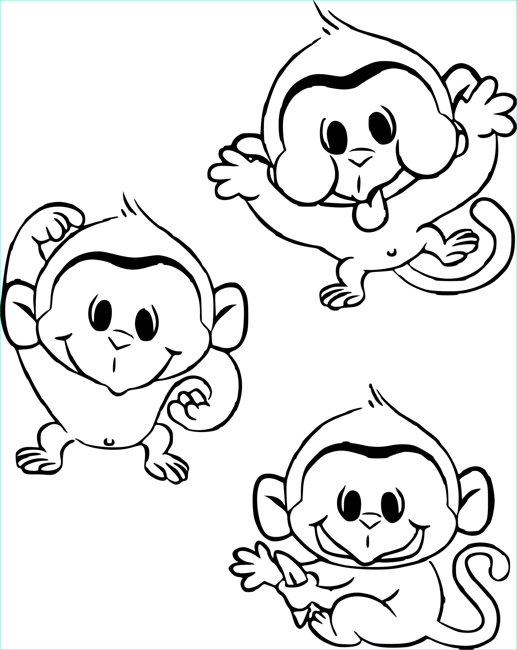 des bebes singes