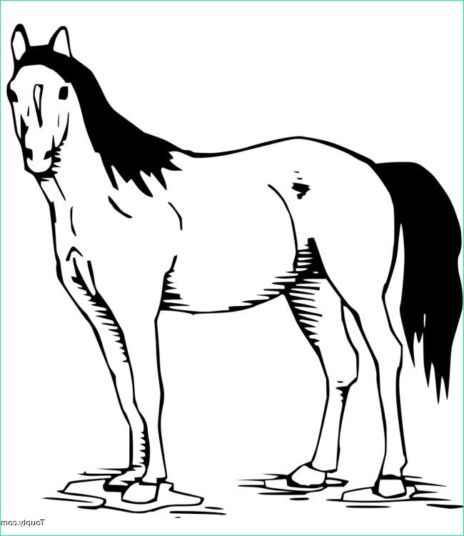 coloriage cheval num=29