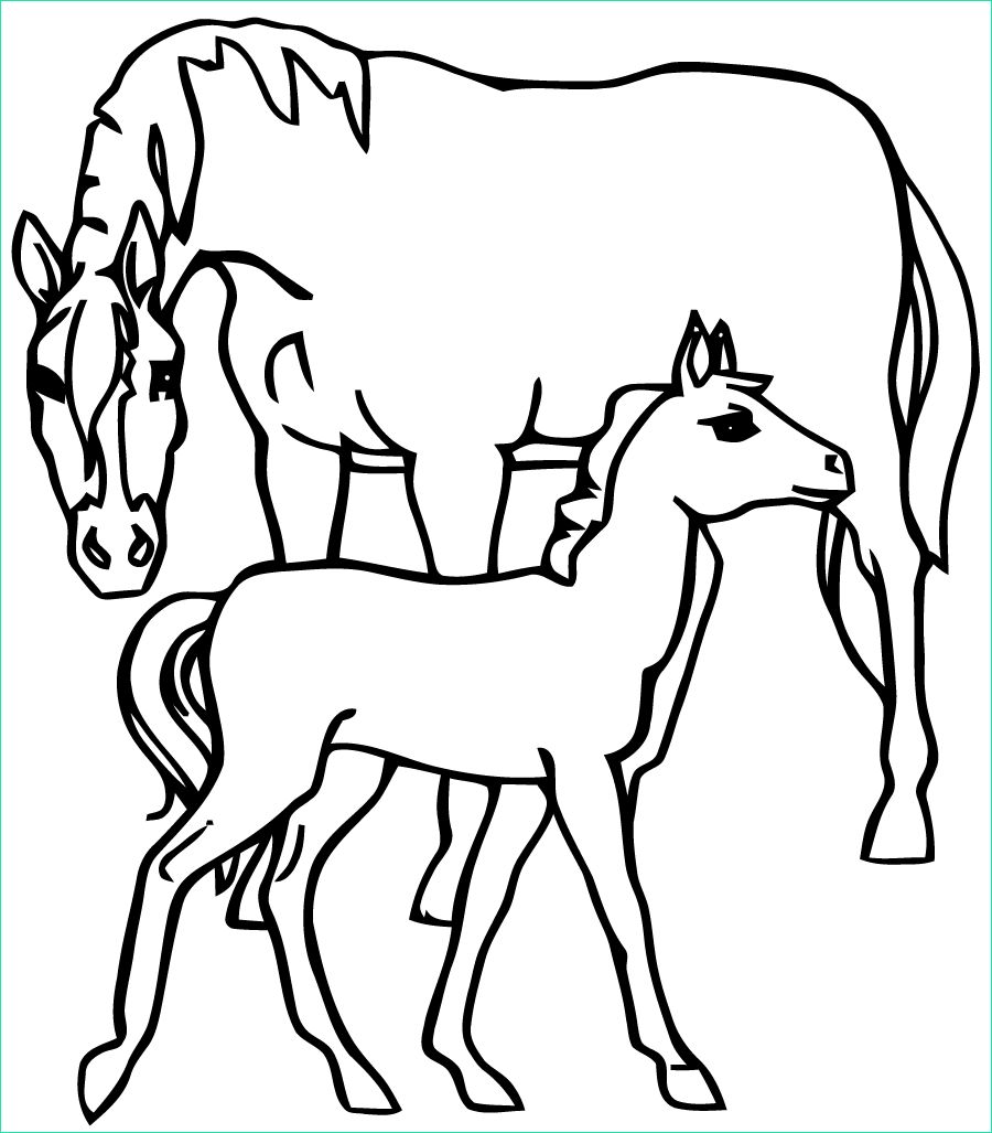coloriage de cheval avec son poulain