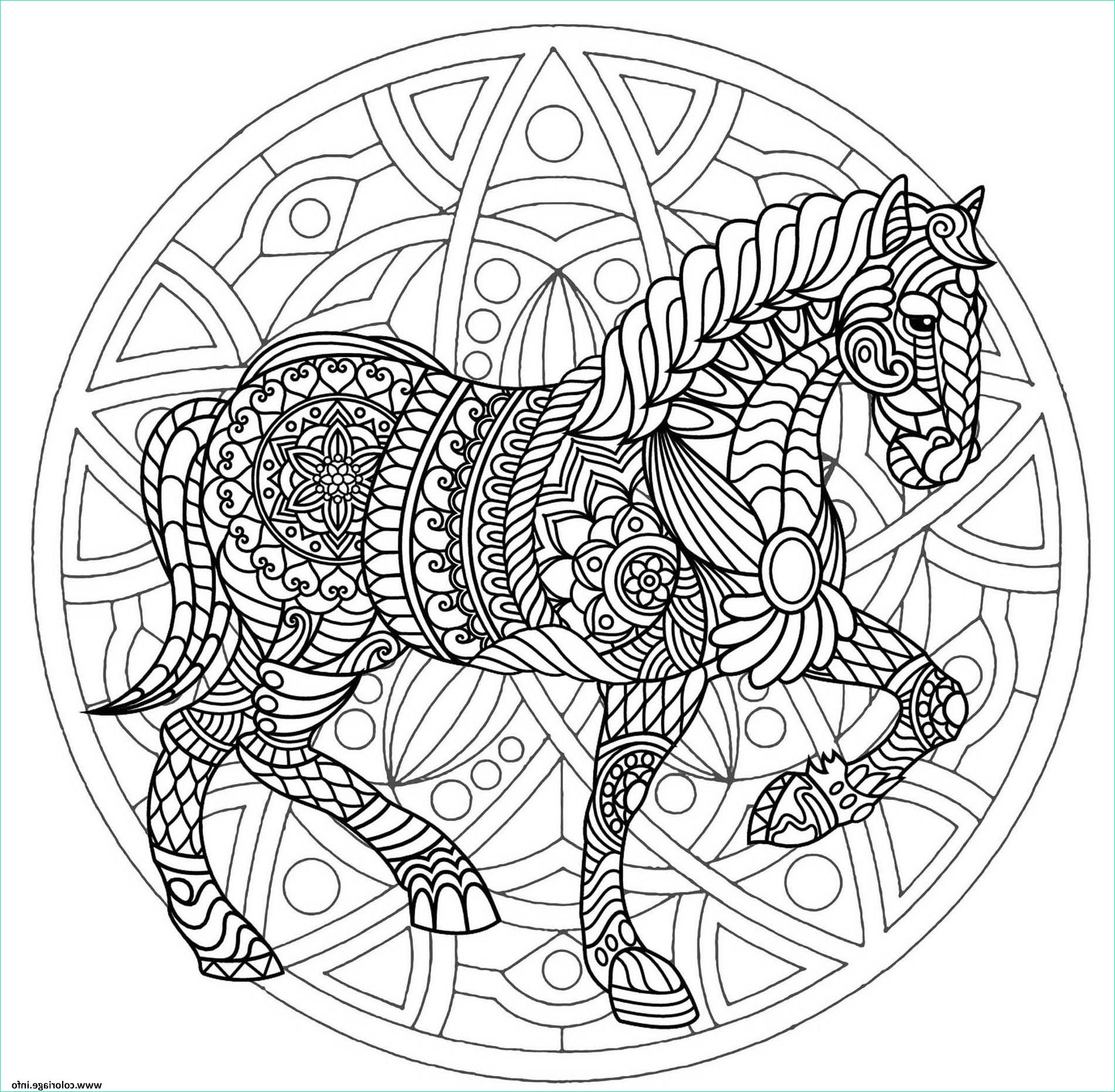 mandala cheval simple et plexe coloriage