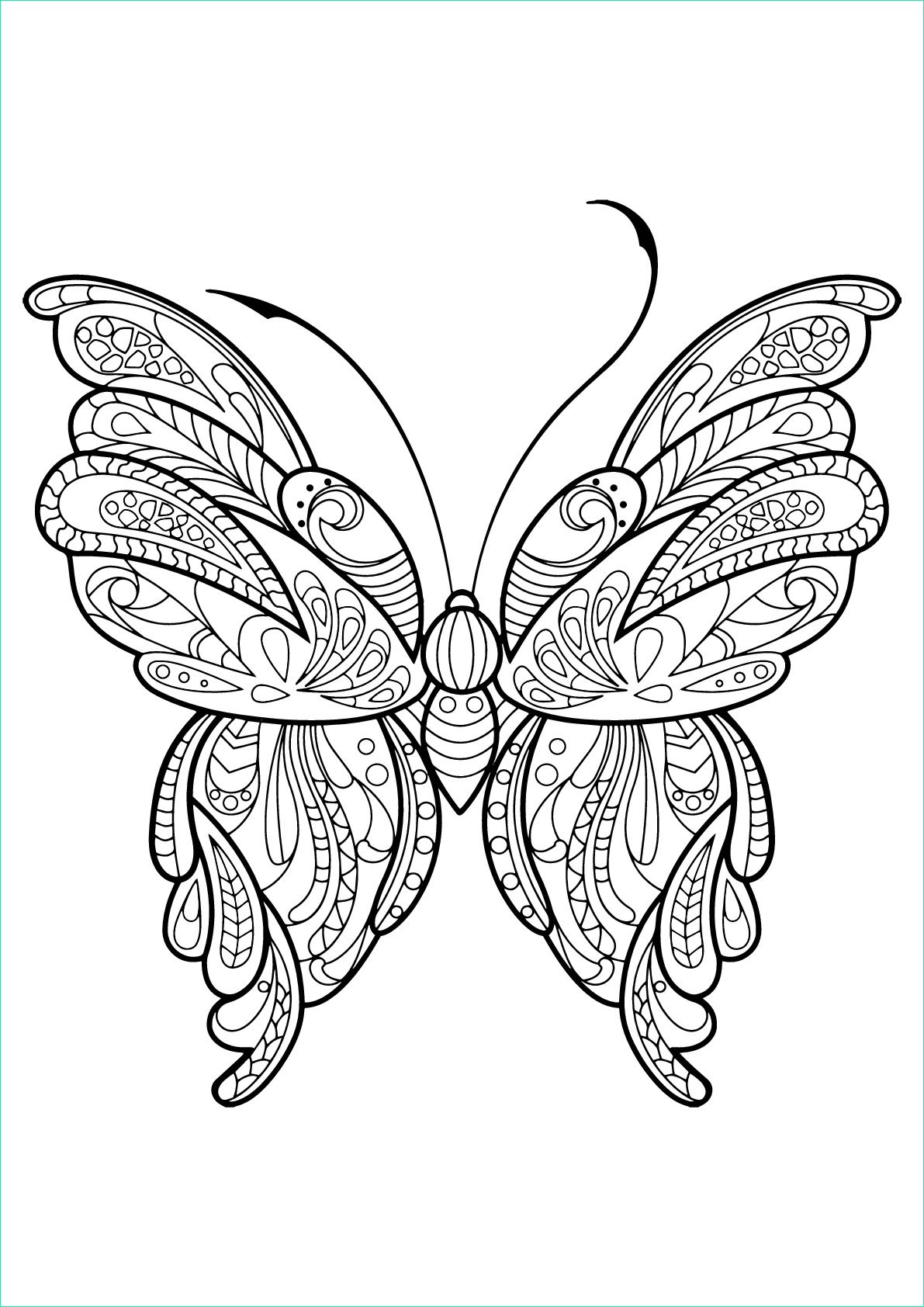 image=insectes coloriage papillon jolis motifs 16 1