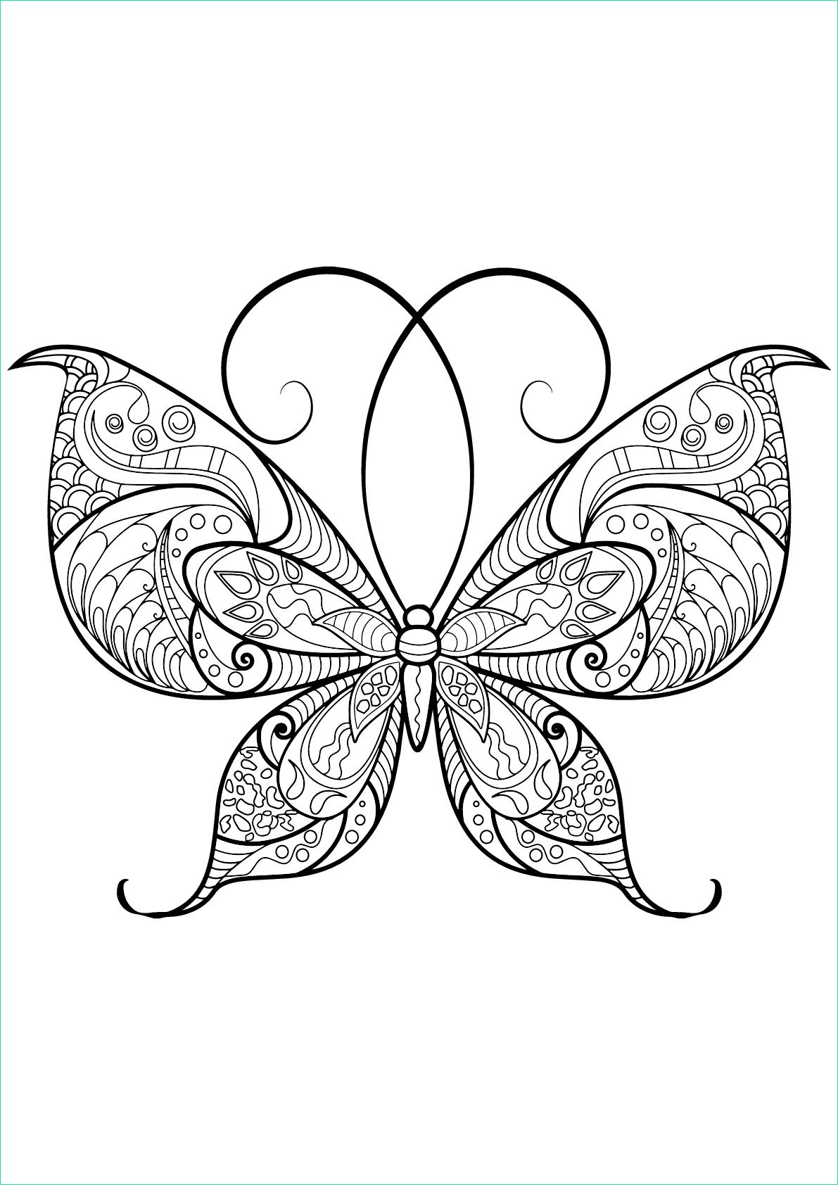 image=insectes coloriage papillon jolis motifs 13 1