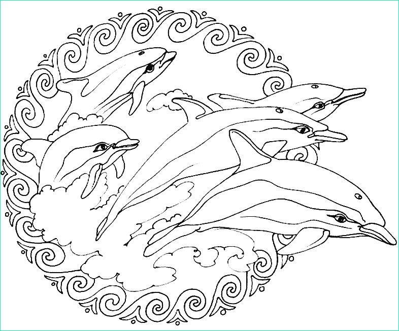 image=animals mandala to color animals frees dolphins 2