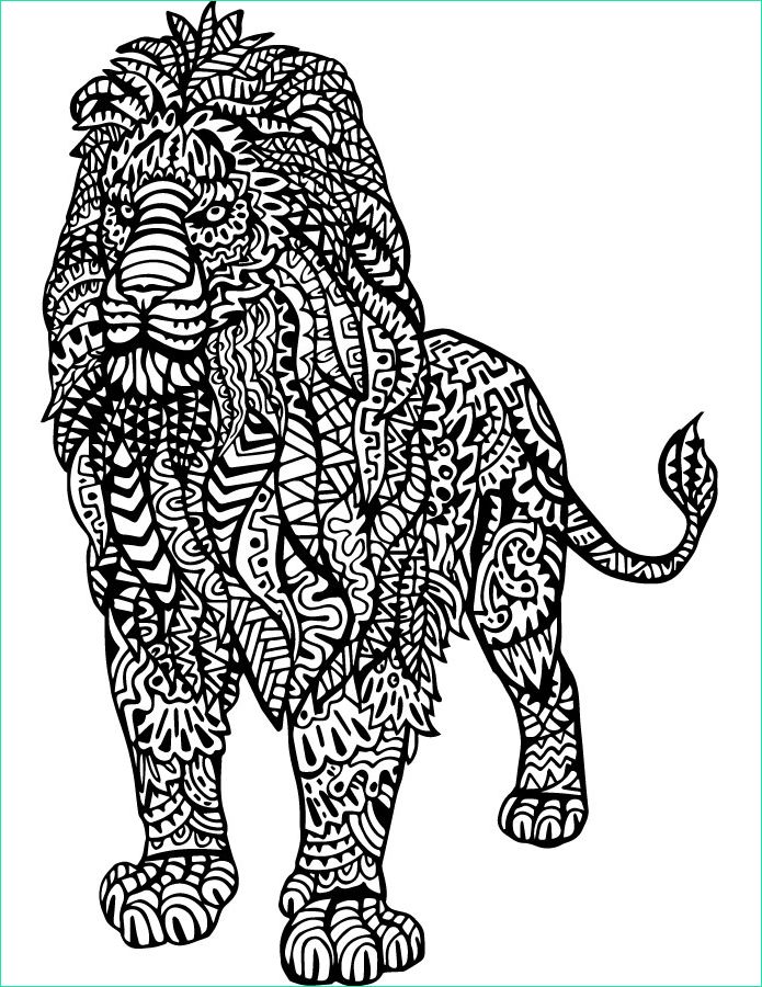 lion dessin a imprimer et colorier pour adulte