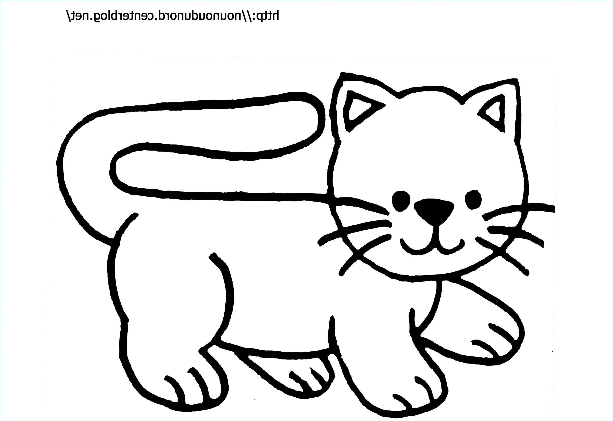 dessin de chat facile a reproduire