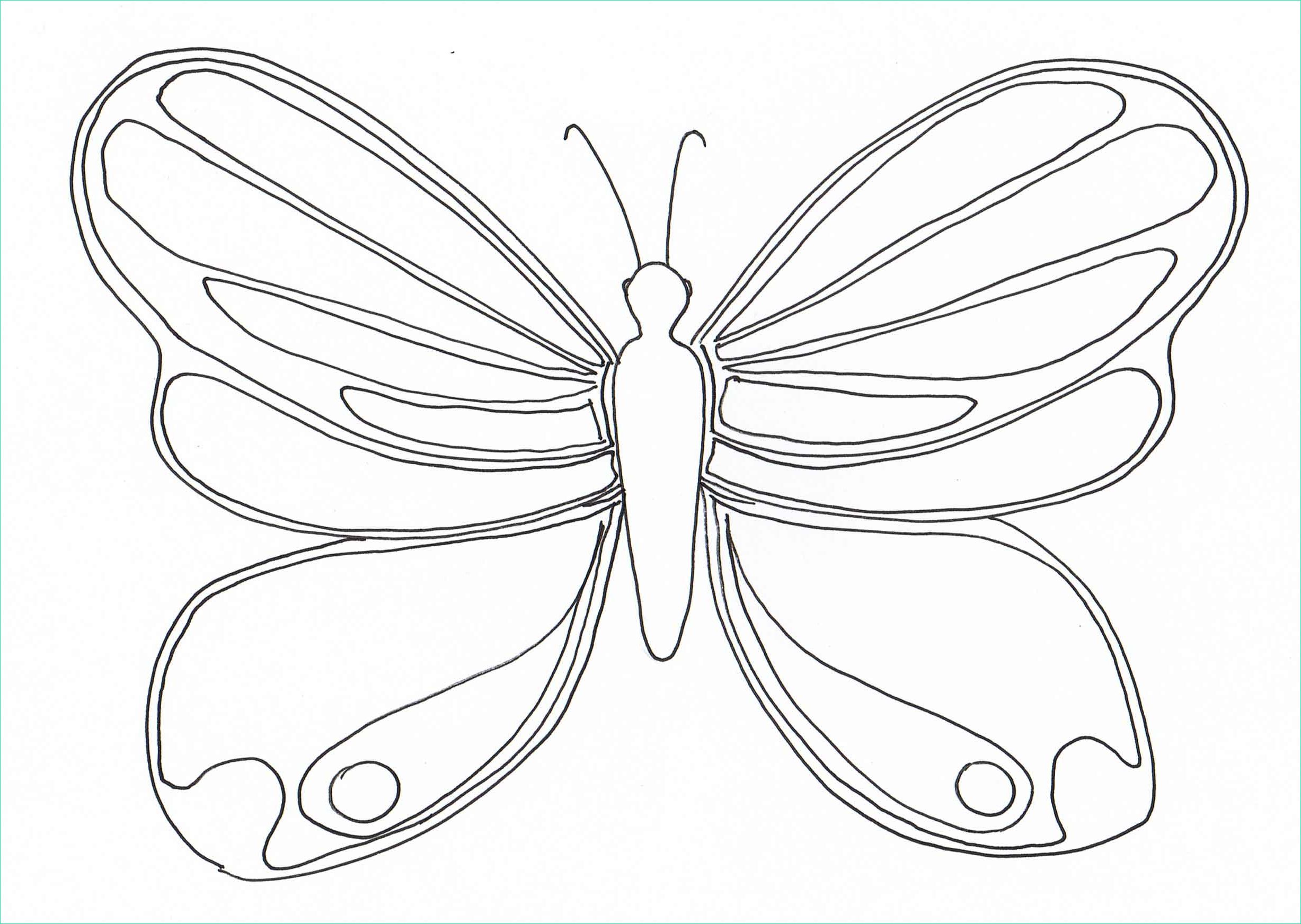 ment faire un papillon en dessin