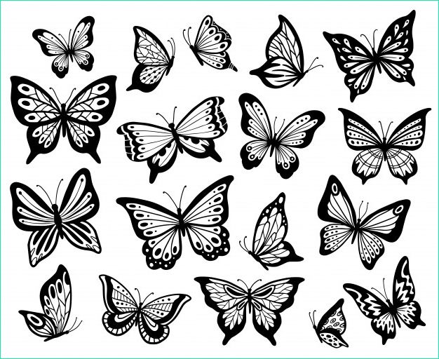 dessin papillons papillon pochoir ailes papillon insectes volants ensemble illustration isole