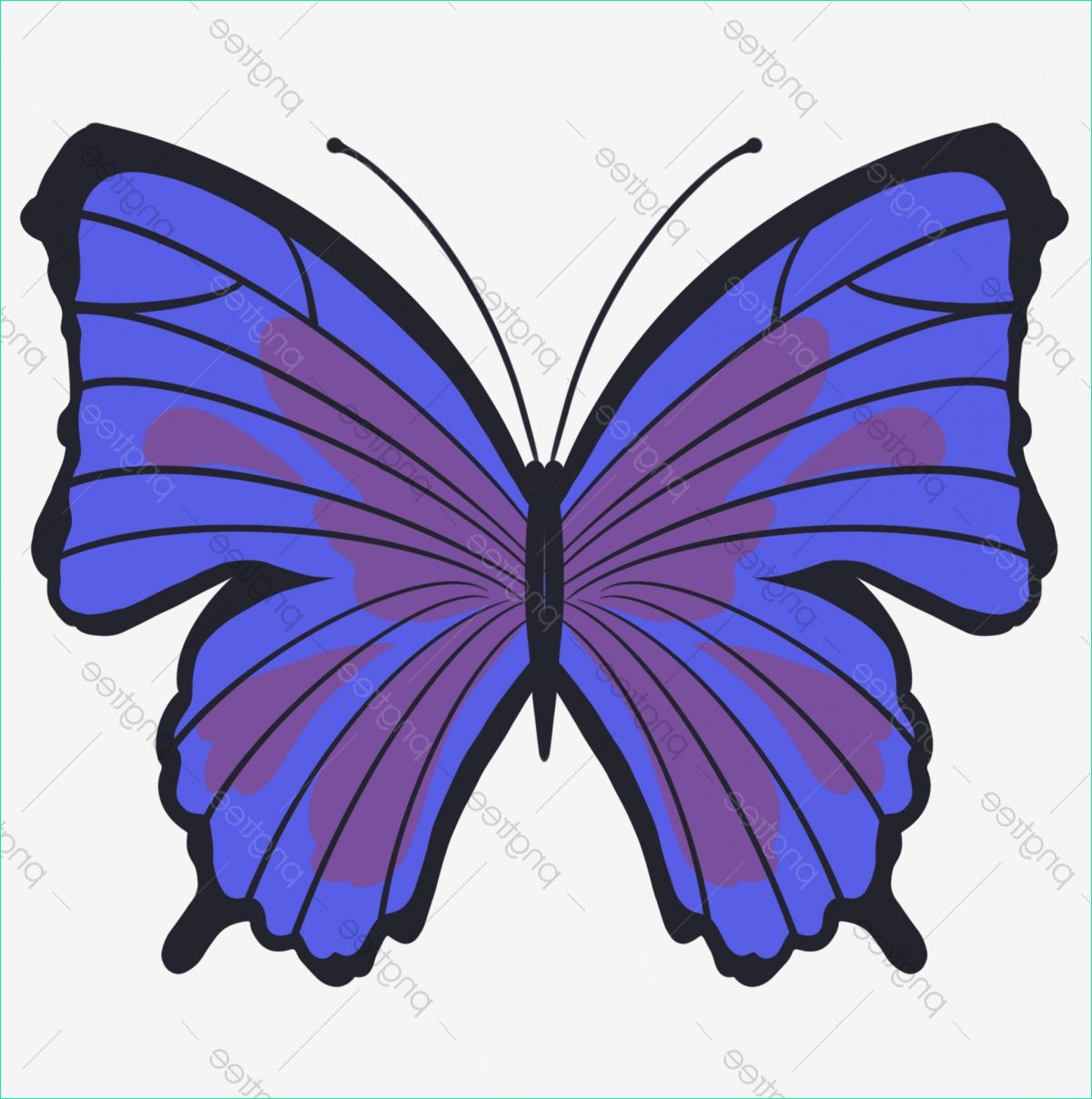 blue monarch butterfly decoration illustration